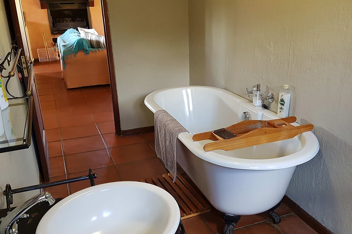 Bald Ibis Cottage bathroom-2