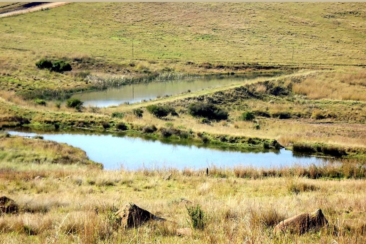 https://www.holidawgs.com/wp-content/uploads/2020/05/Bottlebrush-Cottage-dam-1.jpg