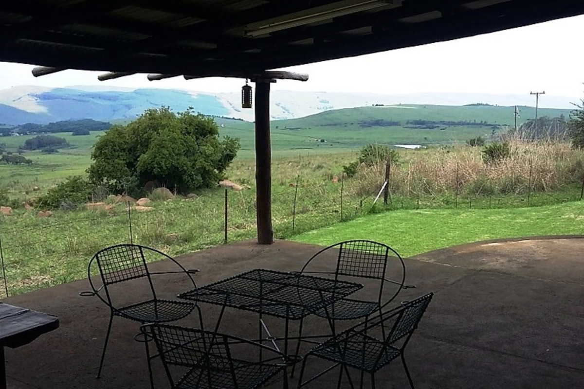 Bottlebrush Cottage patio-1